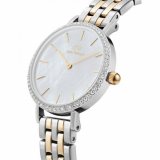 Daniel Wellington DW00100665 Petite Lumine Bezel 5-Link Two-Tone 28mm 3ATM 